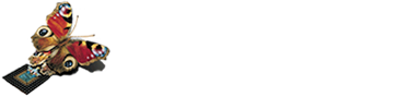 TARA Systems