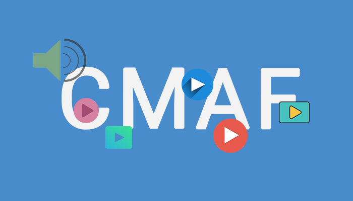Support of CMAF’s fMP4 Container Format for Inaris HLS Player
